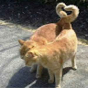 Meet your Posher, Atalina